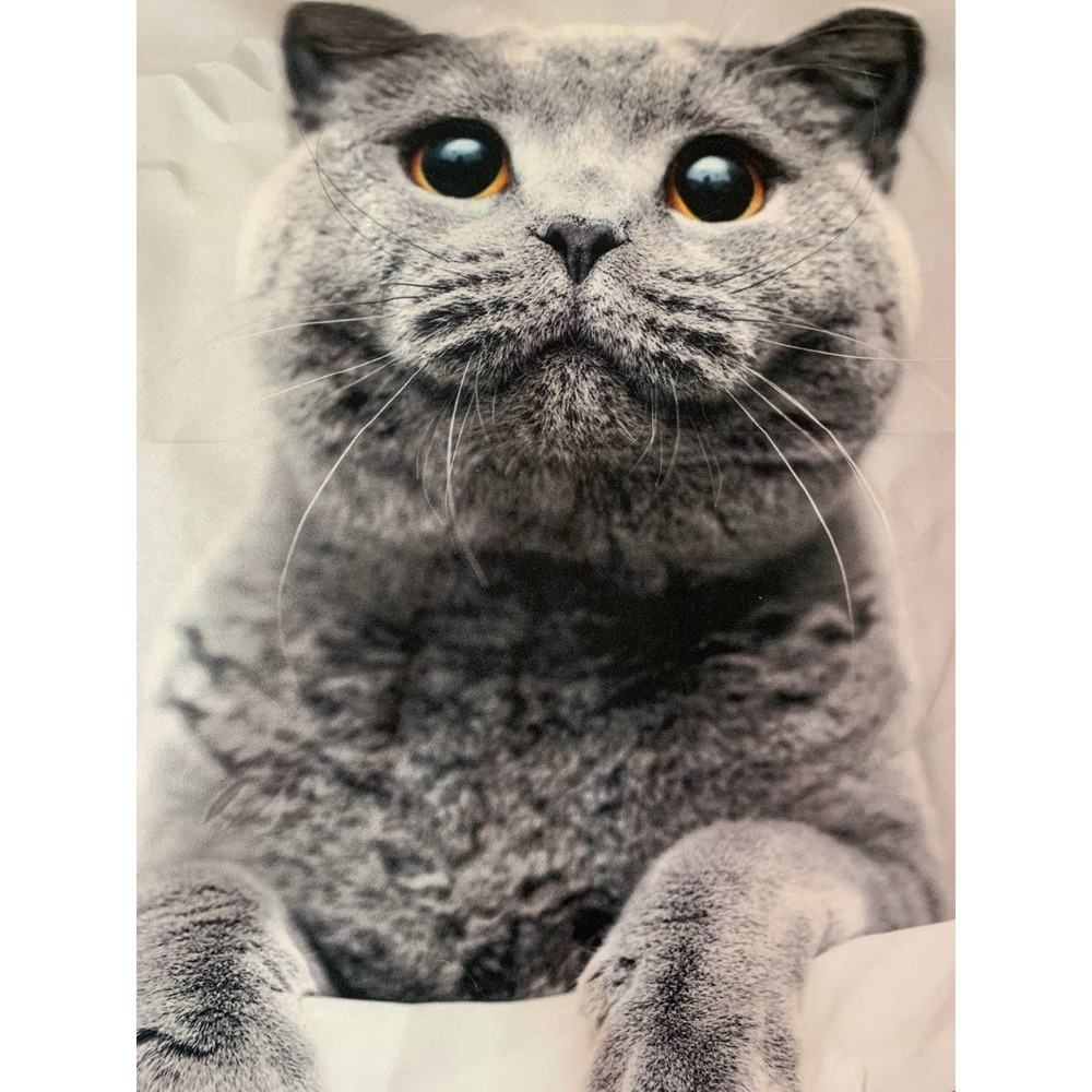Grey Cat Throw Pillow Cases